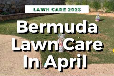 Bermuda Lawn Care In April 2023