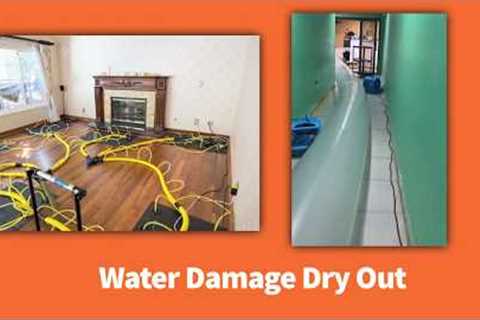 Disaster Recovery Services | Water Damage | Mold | Fire | 911 Restoration