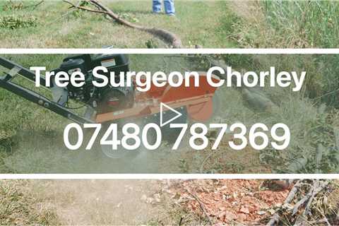 Tree Surgeon Chorley Tree Surgery Root Removal And Stump Removal Tree Felling & Other Services