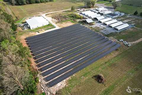 ESA completes first phase of 3.6-MW solar project for cannabis company