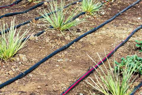Irrigation Repair Phoenix, AZ