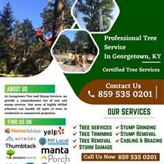 Lexington, KY |Georgetown Tree & Stump Service