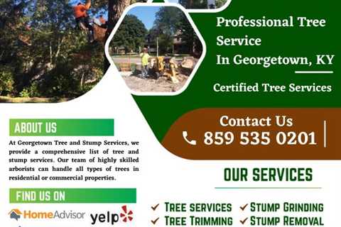 Lexington, KY |Georgetown Tree & Stump Service