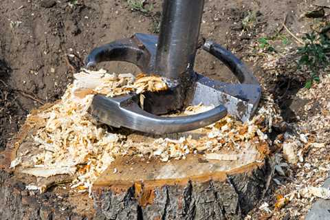 Stump Removal Service in Georgetown, KY | GTTS