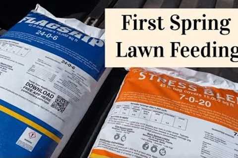 Spring Lawn Care // Spring Fertilizer Lawn Feed