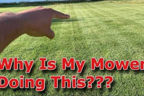 Uneven Grass After Mowing? [How to Spot and How to Fix!]