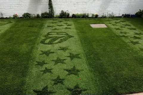 Transforming my lawn into a work of art