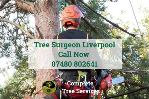 Tree Surgeon Woolton