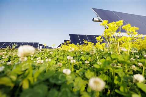 Bureau of Land Management proposes fee cuts, streamlined renewable energy development on public..