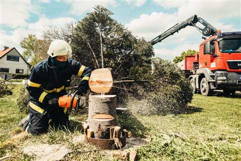 Do tree services need to be licensed?