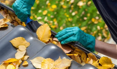 Gutter Cleaning Owensville