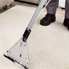 How do you clean carpet in the winter?