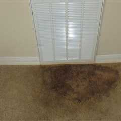 What kills mold and mildew on carpet?