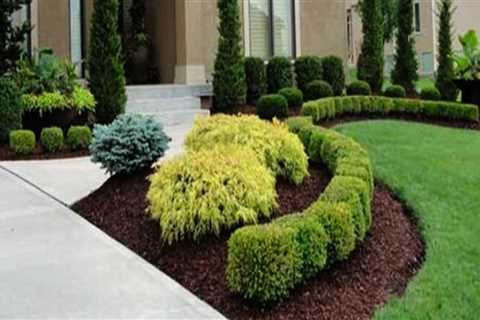 What are the five basic elements of landscape design?