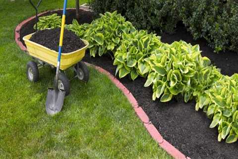 How do you landscape a front yard for beginners?