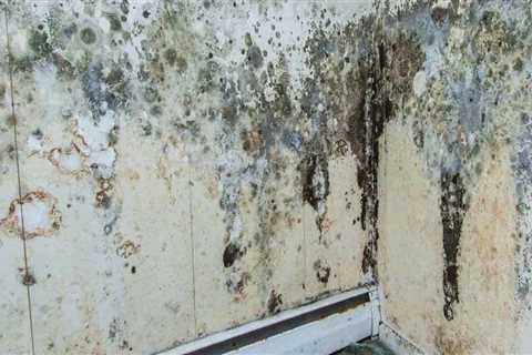 Where to report mold in a house?