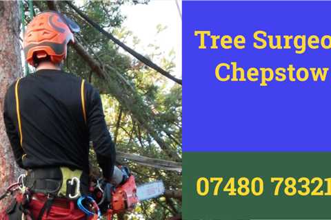 Tree Surgeon in Wolvesnewton 24 Hr Emergency Tree Services Dismantling Removal And Felling