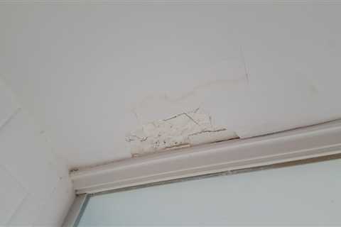 Who To Call For Water Damage In Ceiling