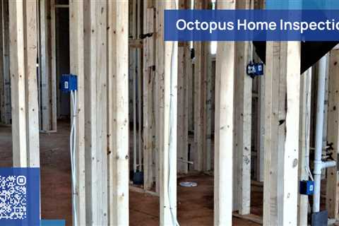 Standard post published to Octopus Home Inspections, LLC at July 14, 2023 20:00
