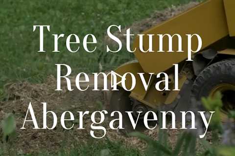 Tree Stump Removal Abergavenny Stump Grinding Services For Residential And Commercial Properties