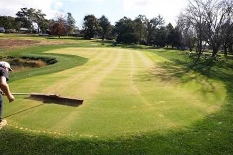 Topdressing My Lawn To Help Make It Flat and Fill in Quicker