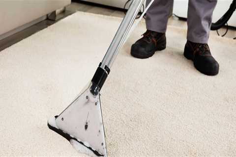 How do you clean carpet in the winter?