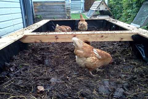 How To Keep Chickens Out Of Mulch Beds