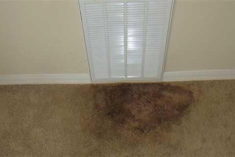 What kills mold and mildew on carpet?