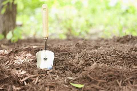 How To Make Your Own Mulch