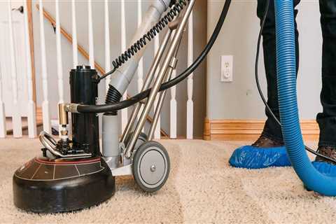 Do you offer any pet odor removal services with your carpet cleaning services?