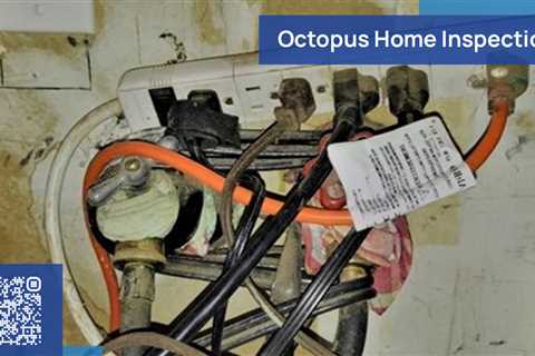Standard post published to Octopus Home Inspections, LLC at July 26, 2023 20:00