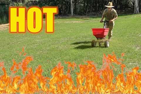 Sizzle Hot Summer Lawn Care