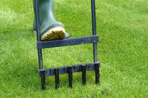 Can you aerate your lawn too much?