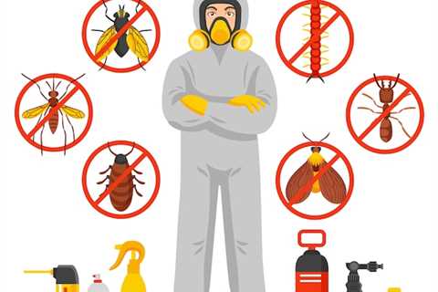 Ridx Pest Control Fresno: Keeping Your Home Pest-Free With Professional Services