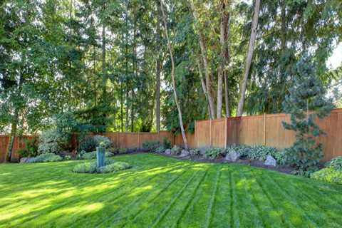 What lawn grass grows the best in shade and not sun?