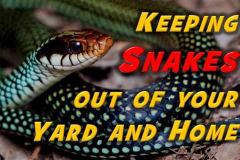 Animal Safe Snake Repellent: Keeping Your Yard Safe Without Endangering Wildlife