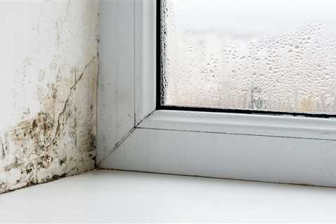 How to Clean Mold From Window Sills