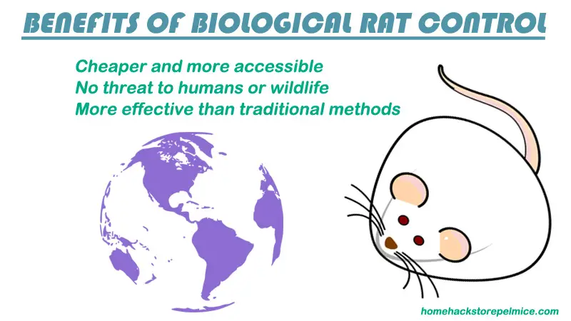 Are There Any Natural Methods For Rodent Control In Baltimore County?