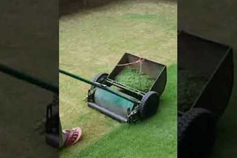 Manual reel mower with grass catcher used to mow lawn #shorts | Lawn Care and Gardening