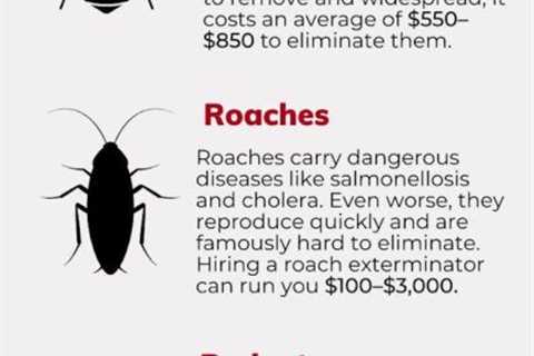 Exterminator Prices For Ants: Comparing Pest Control Services For Ant Infestations