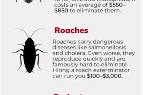 Exterminator Prices For Ants: Comparing Pest Control Services For Ant Infestations