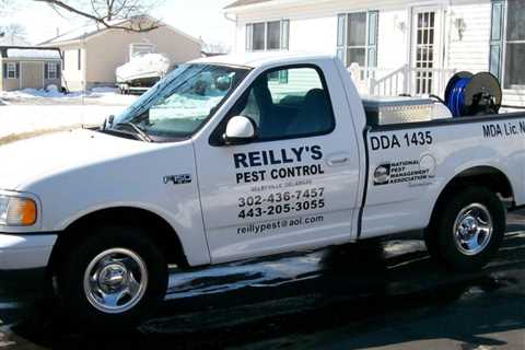 Ant Exterminator In Millville DE: Professional Ant Control Services In Millville Delaware