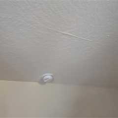 Standard post published to CSL Water Damage Restoration at September 29 2023 16:02