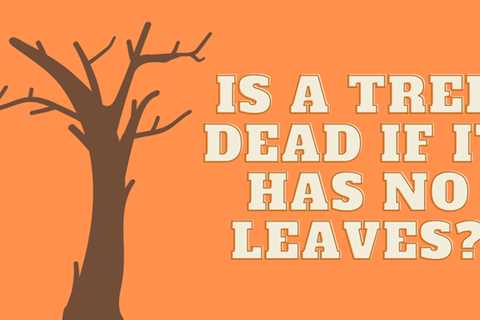 Is a tree dead if it has no leaves?