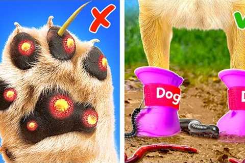 Keep Your Pets Safe! *Viral Gadgets and Hacks For Happy Cats and Dogs*