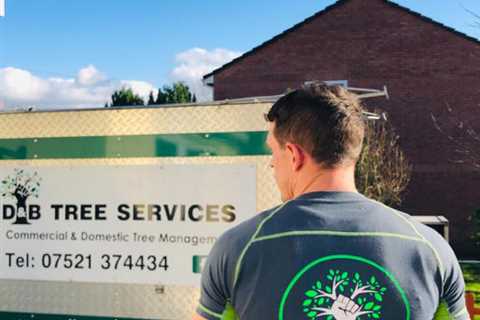 Tree Surgeon Usk