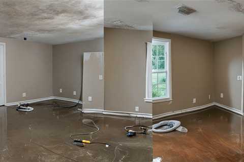 Expert Water Damage Solutions in Lafayette, LA – For You!