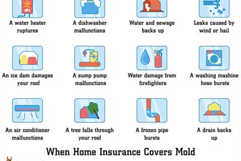 Does Homeowners Insurance Cover Damage From My Kid …