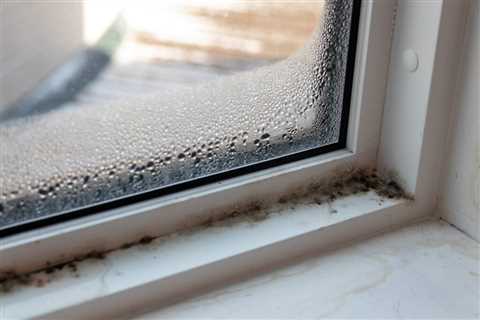 How Do You Tell If You Have Hidden Mold In Your House?