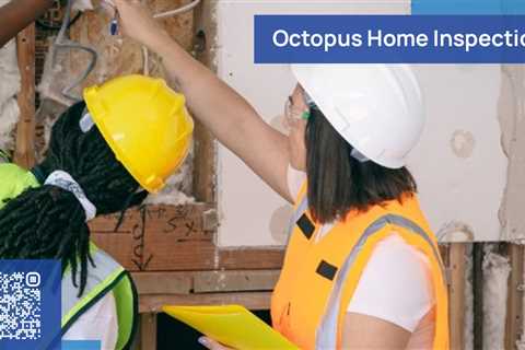 Standard post published to Octopus Home Inspections, LLC at October 20, 2023 20:00